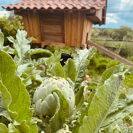 بيت للعطل Le Pressoir De Framboise *