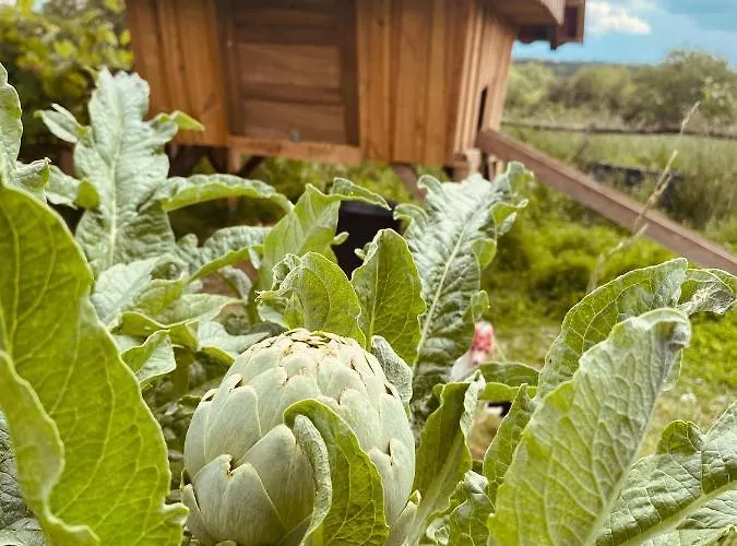 度假居 Le Pressoir De Framboise *